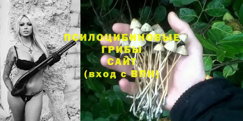 купить  сайты  Комсомольск  Галлюциногенные грибы Psilocybine cubensis 